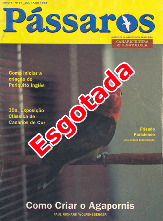 Revista 1