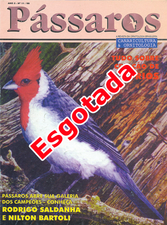 Revista 11