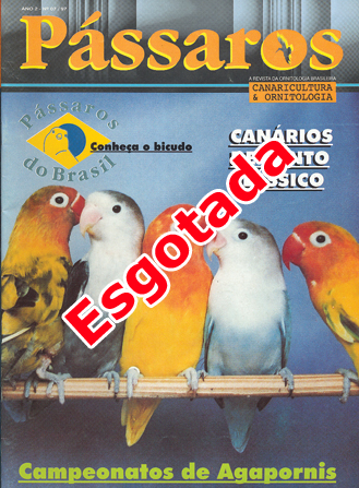Revista 7